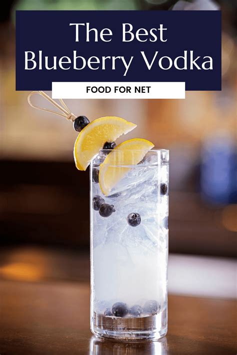 the-best-blueberry-vodka-food-for-net image