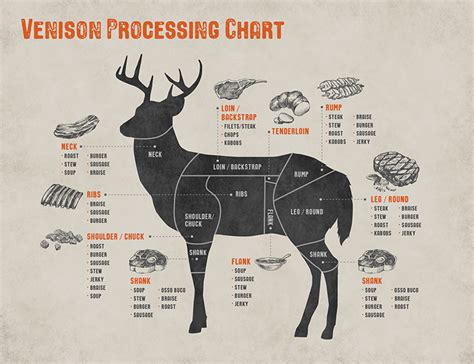 cuts-of-venison-explained-north-american-whitetail image