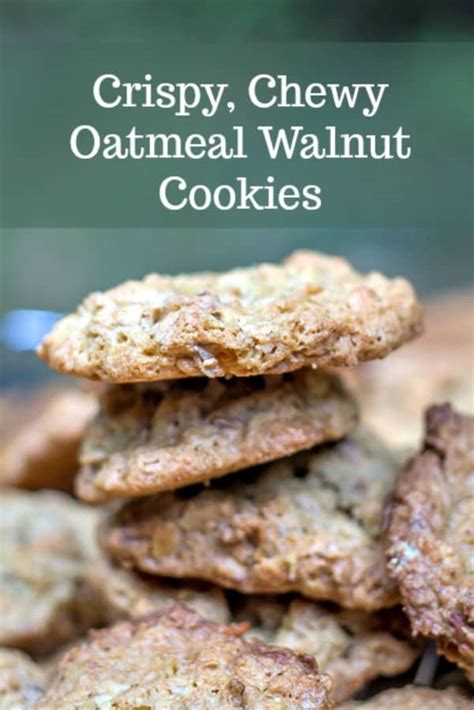 crispy-chewy-oatmeal-walnut-cookies-that-susan image