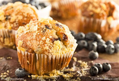 applesauce-blueberry-muffins-recipe-recipelandcom image