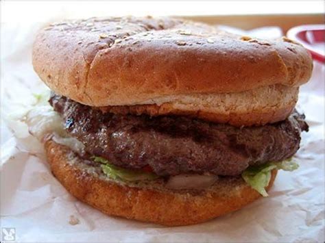 buffalo-burger-recipe-sparkrecipes image