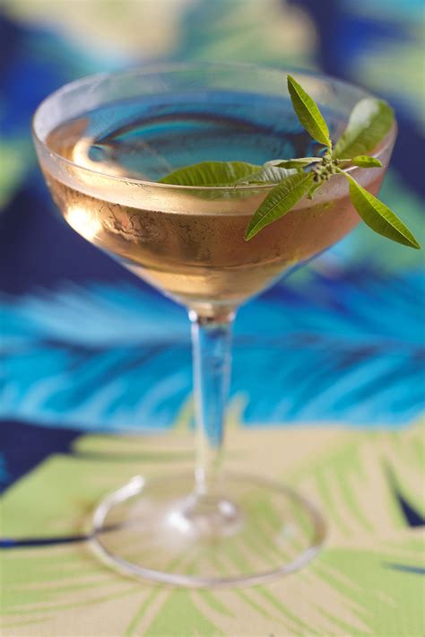 lemon-verbena-vesper-martini-sippitysup image