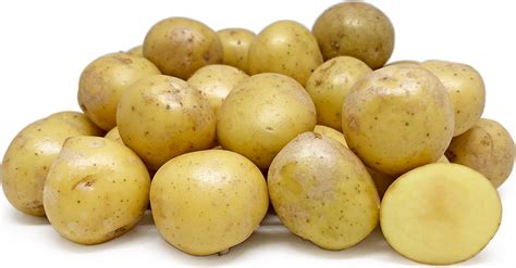 danish-potatoes-information-and-facts-specialtyproducecom image