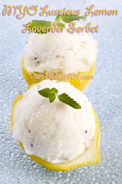 luscious-lemon-lavender-sorbet-homemade-sorbet image