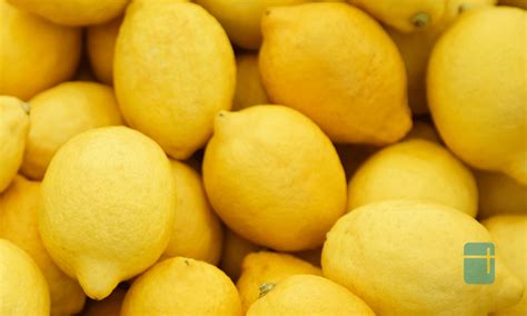 how-to-freeze-lemons-4-methods-lets-foodie image