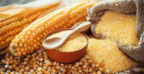 is-cornmeal-gluten-free-no-gluten image