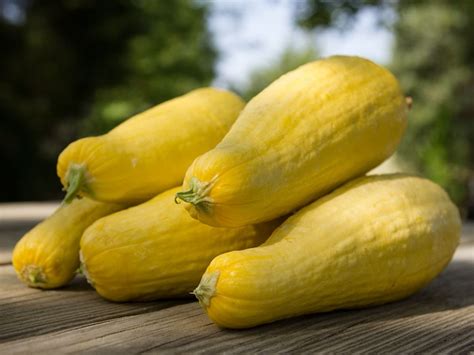 tangy-yellow-squash-the-aha-connection image