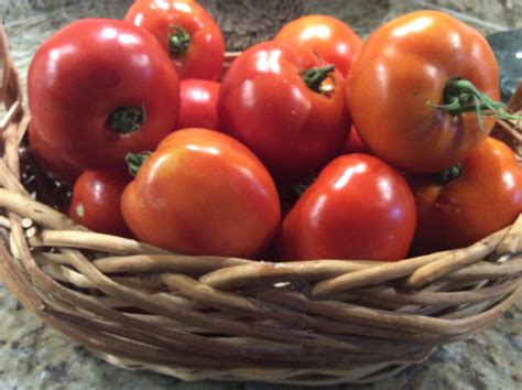 canning-my-tomato-green-chili-salsa-reciperealities image