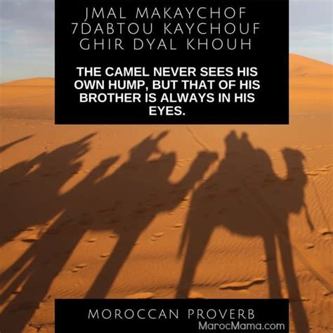 moroccan-proverbs-about-food-and-life-marocmama image