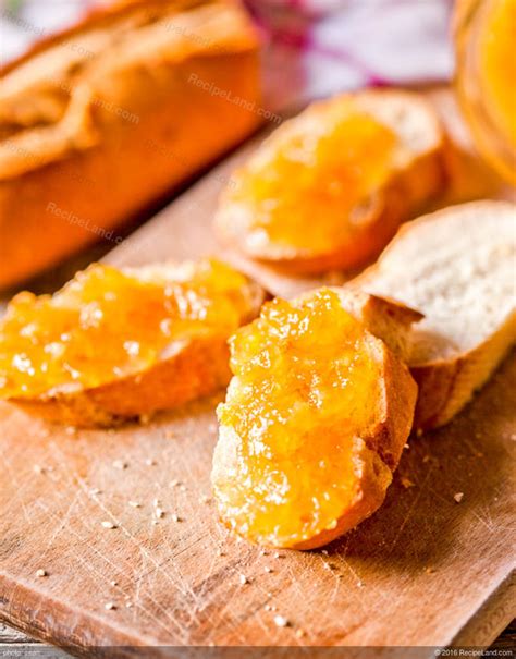 sour-orange-marmalade-recipe-recipeland image