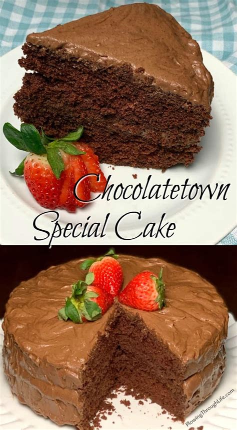 chocolatetown-special-cake-plowing-through-life image