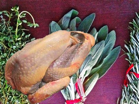 braised-supreme-of-free-range-guinea-fowl-the image