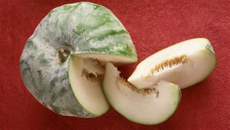 what-is-a-winter-melon-the-spruce-eats image