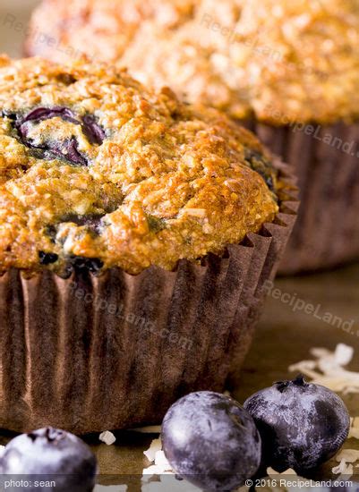 low-fat-blueberry-bran-muffins-recipe-recipelandcom image