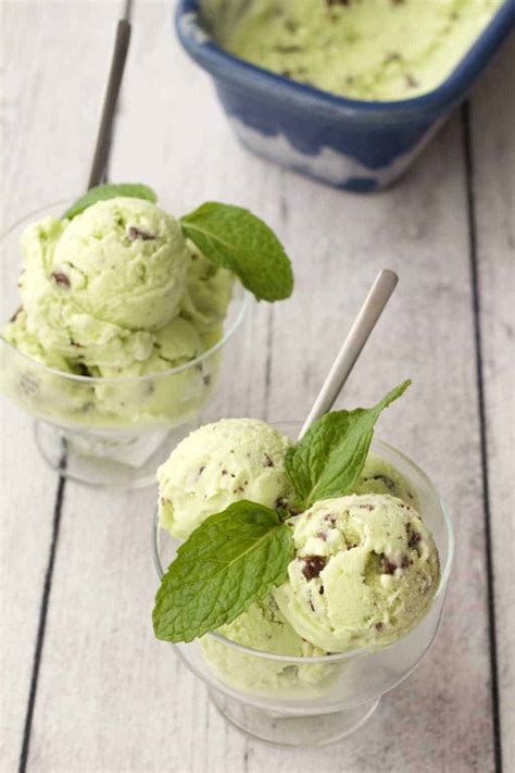 vegan-mint-chocolate-chip-ice-cream-loving-it-vegan image