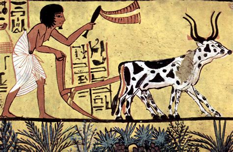 what-food-and-drink-were-ancient-egyptians-consumed image