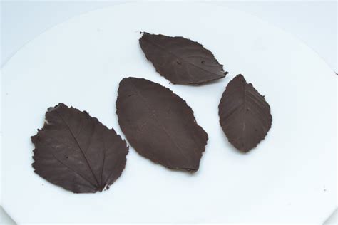 how-to-make-chocolate-leaves-with-pictures-wikihow image