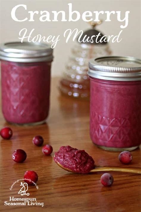 cranberry-honey-mustard-homespun-seasonal-living image