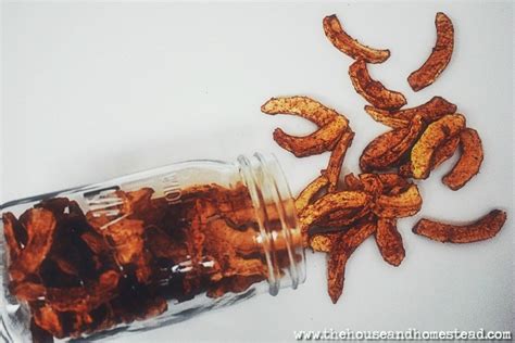 dehydrated-cinnamon-apple-slices-the-house image