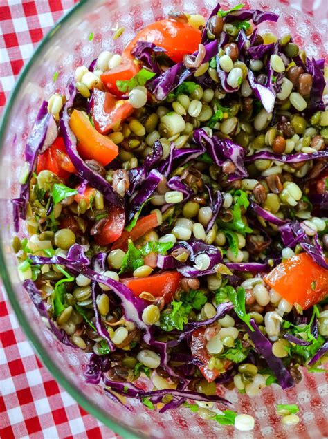 sprouted-bean-salad-a-pretty-life-in-the-suburbs image