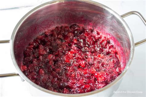 jellied-cranberry-sauce-homemade-recipes-and image