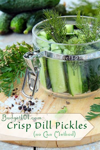 overnight-crisp-dill-pickles-home-canning image
