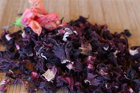 perfect-hibiscus-margaritas-lettys-kitchen image
