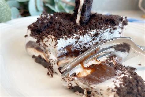 plate-licking-4-layer-chocolate-dessert-best-crafts image