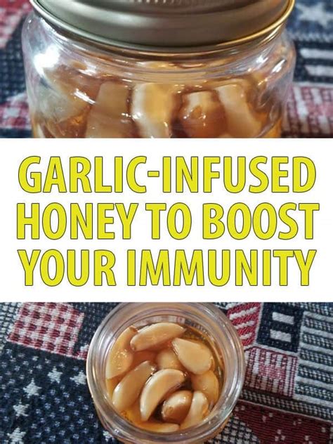 garlic-infused-honey-recipe-new-life-on-a-homestead image
