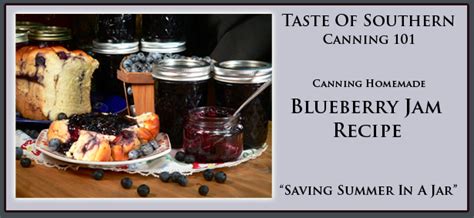 blueberry-jam-recipe-taste-of-southern image