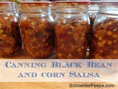 canning-black-bean-and-corn-salsa-recipe-the-safe image