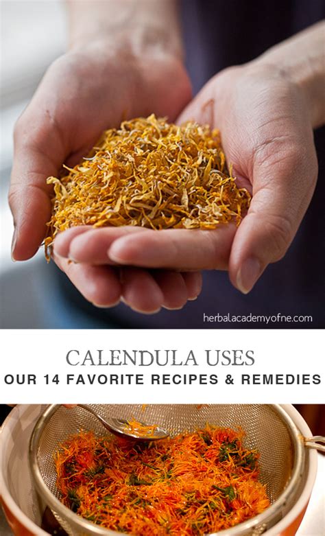 calendula-uses-our-14-favorite-recipes-herbal-academy image