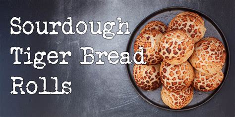 tiger-bread-rolls-recipe-fluffy-inside-crunchy-on-the image
