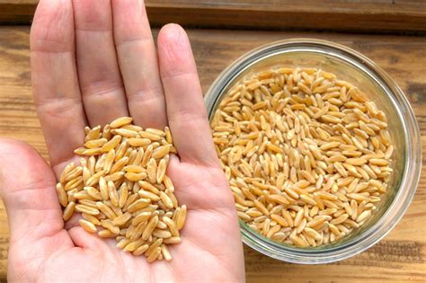 how-to-use-the-ancient-whole-grain-kamut image