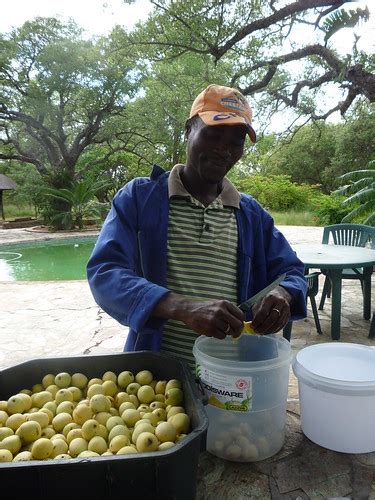 making-your-own-homemade-marula-beer-the image