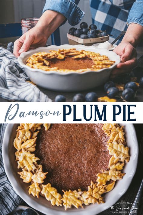 old-fashioned-damson-plum-pie-the-seasoned-mom image
