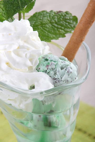 ben-jerrys-oreo-mint-ice-cream-budget101com image