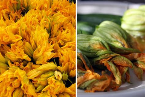 five-ways-to-eat-squash-blossoms-kitchn image