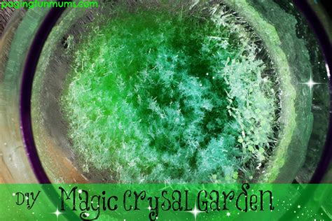 diy-magic-crystal-garden-paging-fun-mums image