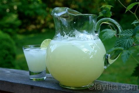 quick-limonada-lemonade-or-limeade-laylitas image