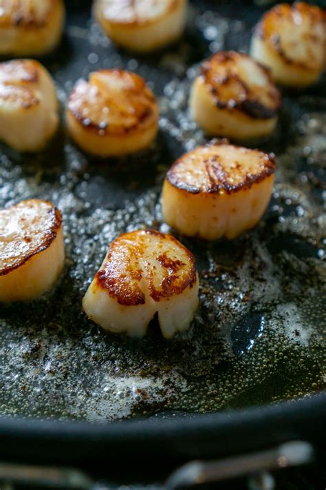 best-ever-seared-scallops-recipe-how-to-cook image