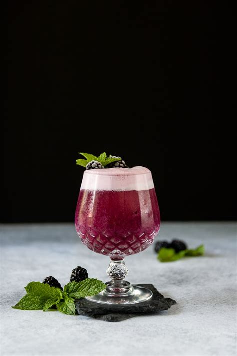 blackberry-gin-fizz-jennifer-meyering image
