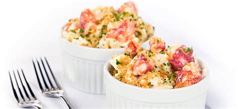 our-award-winning-mouth-watering-lobster-mac-n image
