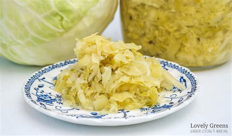 easy-sauerkraut-recipe-using-the-bucket-and-brick image