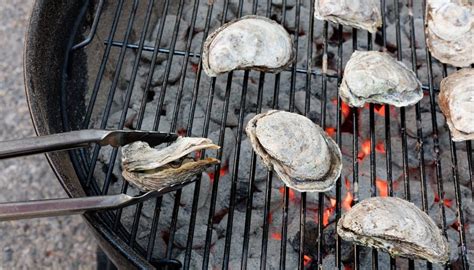 grilled-clams-mussels-or-oysters-with-spicy-lemon-butter image