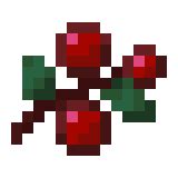 sweet-berries-minecraft-wiki image