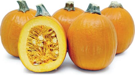 sugar-pie-pumpkins-information-recipes-and-facts image