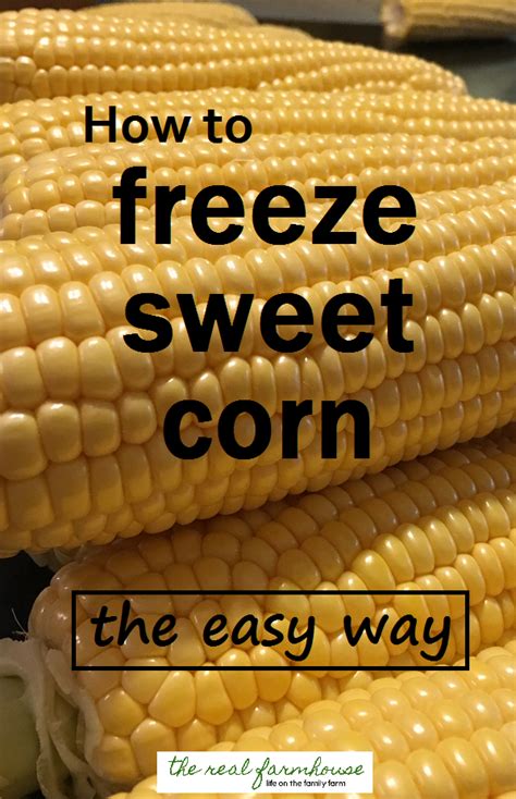 how-to-freeze-sweet-corn-the-easy-way-the-real image