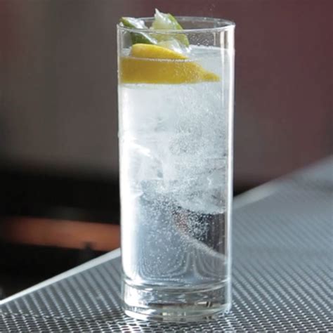 gin-and-tonic-cocktail-recipe-liquorcom image