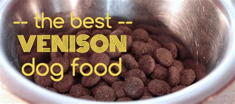 7-best-venison-dog-food-brands-health-eating-for image